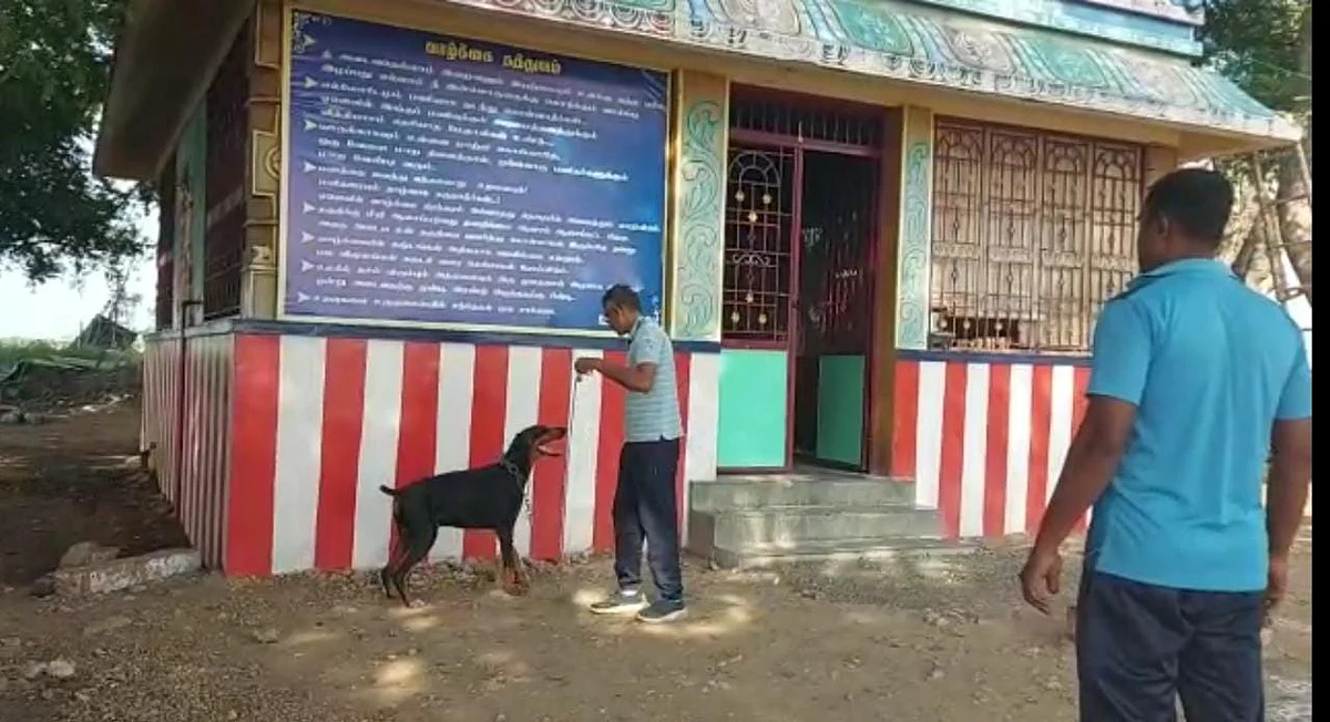 சோதனை