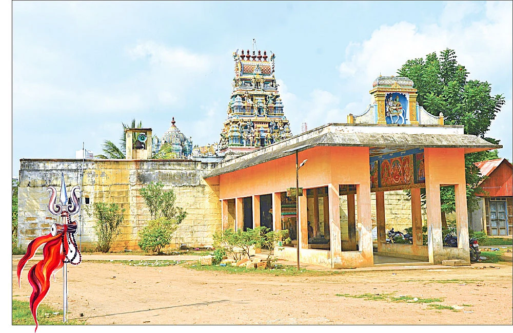 அதிசய வாழைகள்... நான்கு பிரார்த்தனைகள்!