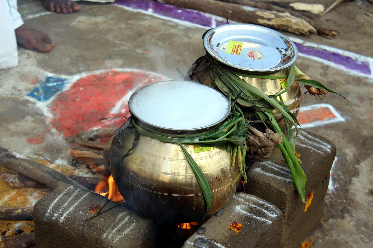 Pongal