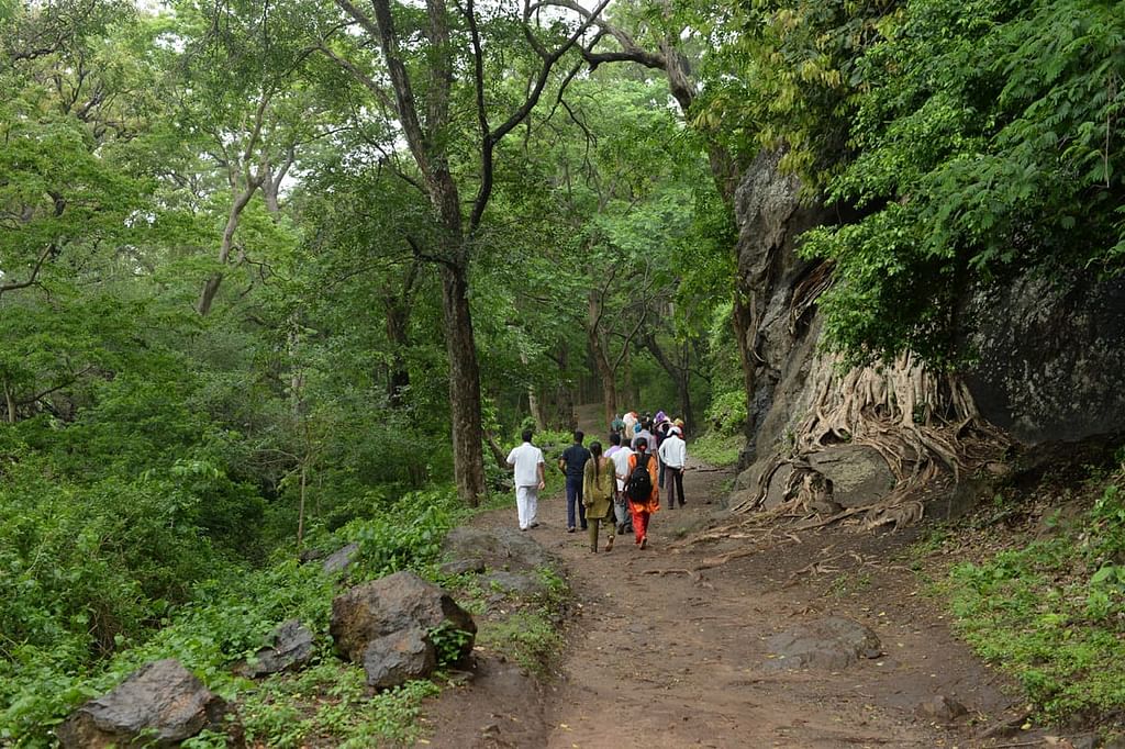 கோவை குற்றாலம்