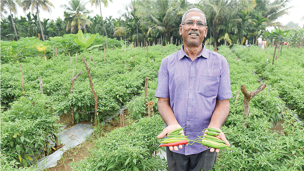 மிளகாய்களுடன் விஸ்வநாதன்