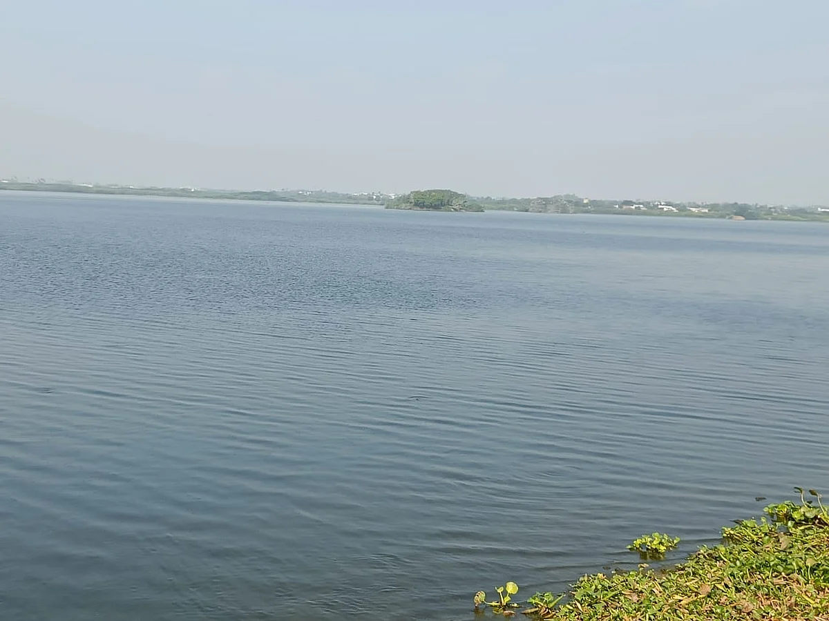 நஞ்சராயன் குளம்