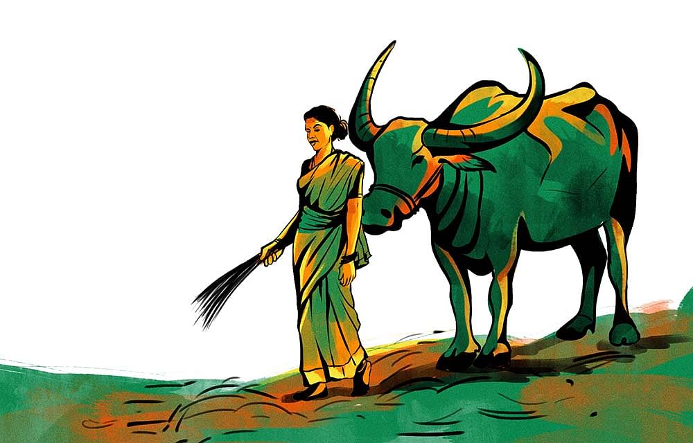 சொல்வழிப் பயணம்! - 13