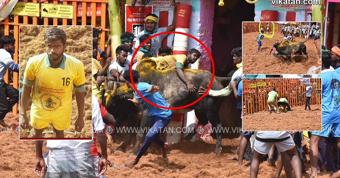 மதுரை பாலமேடு ஜல்லிக்கட்டில் அதிர்ச்சி: சிறப்பாக விளையாடி வந்த மாடுபிடி வீரர் உயிரிழப்பு!