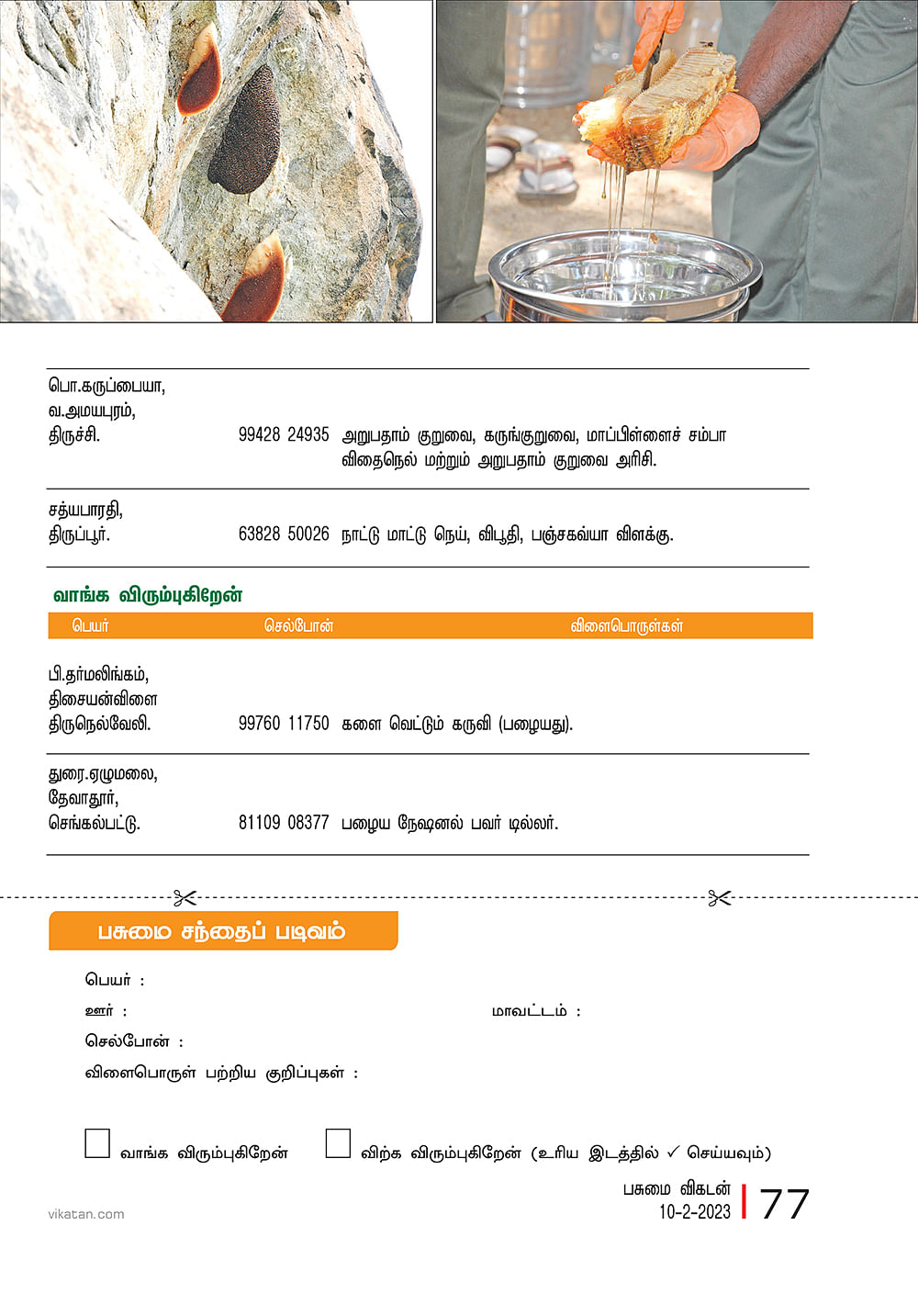 பசுமை சந்தை