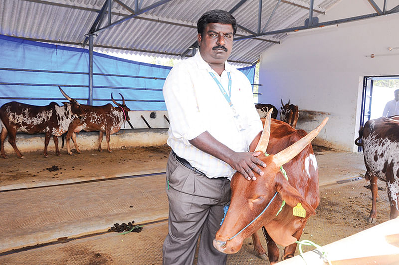 ஆராய்ச்சி மையத்தில் கணபதி