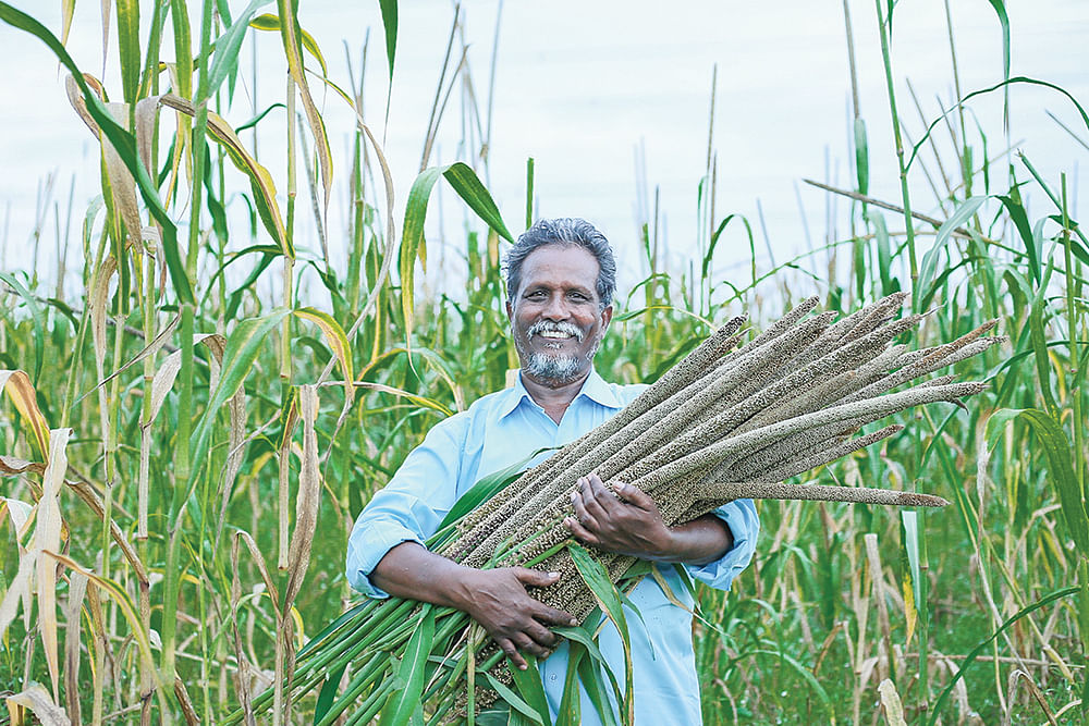 நீளமான ராஜஸ்தான் கம்புடன் நடராஜன்