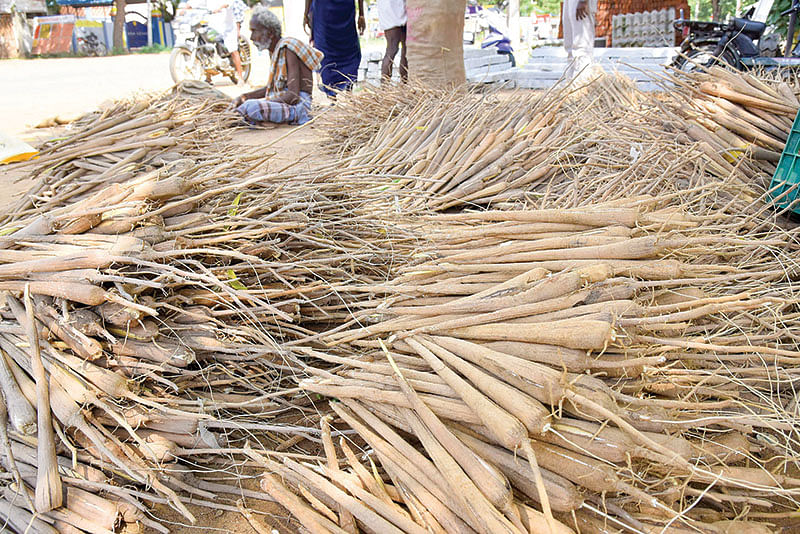 அடுக்கி வைக்கப்பட்ட பனங்கிழங்குகள்
