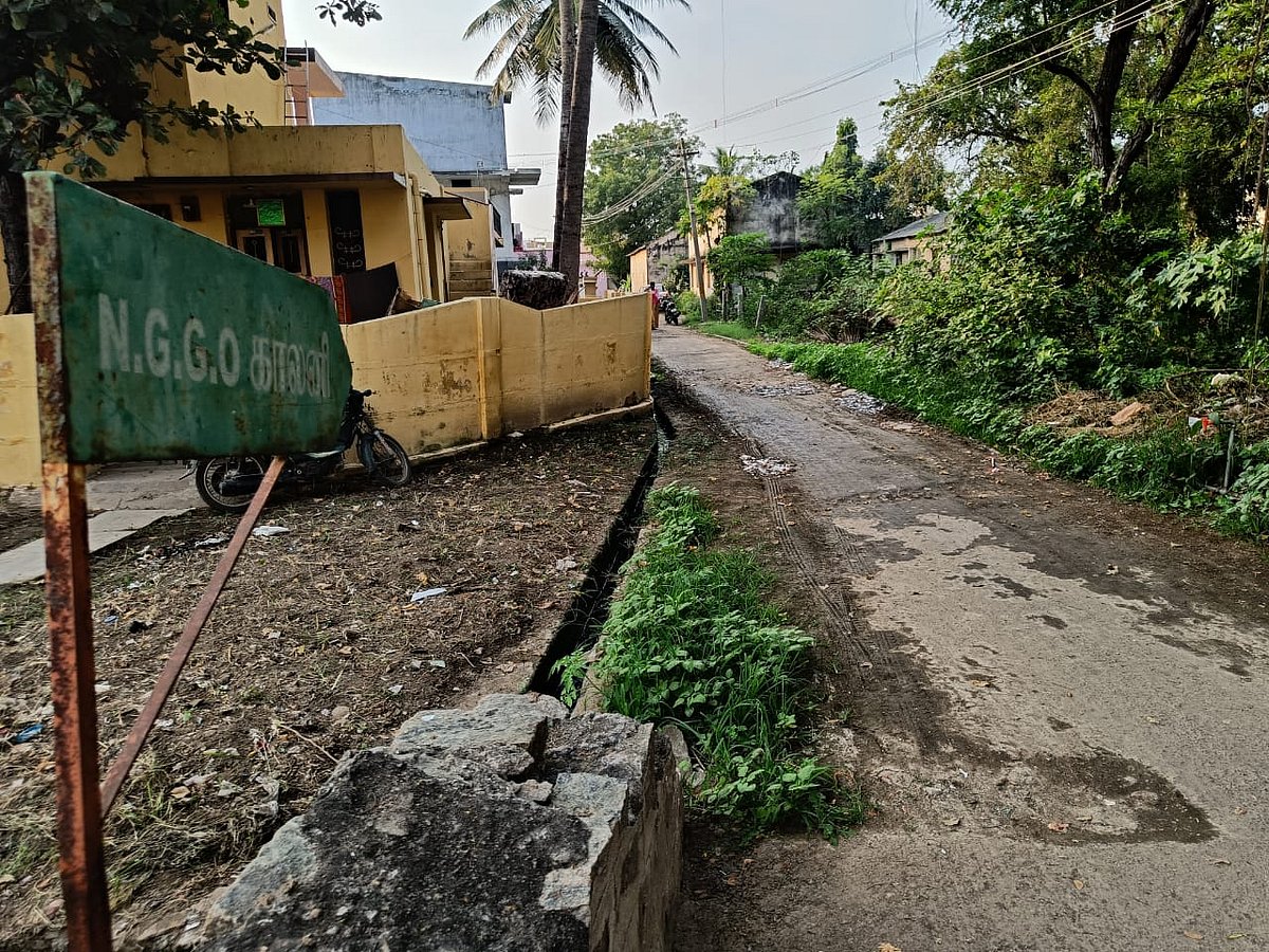தாராபுரம்: படையெடுக்கும் பாம்புகள்; அச்சத்தில் என்.ஜி.ஜி.ஓ காலனி மக்கள் - கவனிக்குமா கதர் வாரியம்?