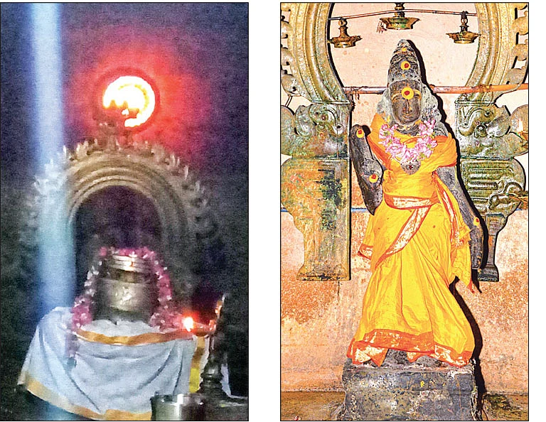 அதிசய வாழைகள்... நான்கு பிரார்த்தனைகள்!