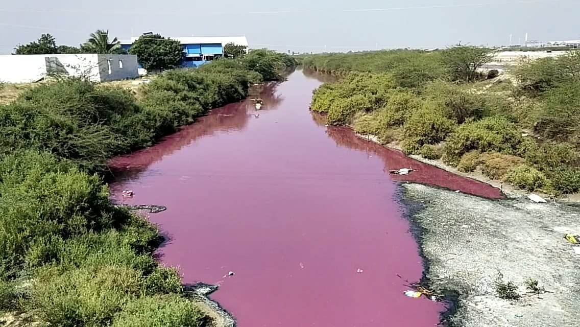 செந்நிறமான தூத்துக்குடி ஓடை;  ரசாயனக் கழிவுகளால் உப்பு விஷமாக மாறும் அபாயம்..!