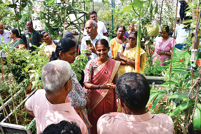 மாடித்தோட்டத்தில் நேரடி விளக்கம்