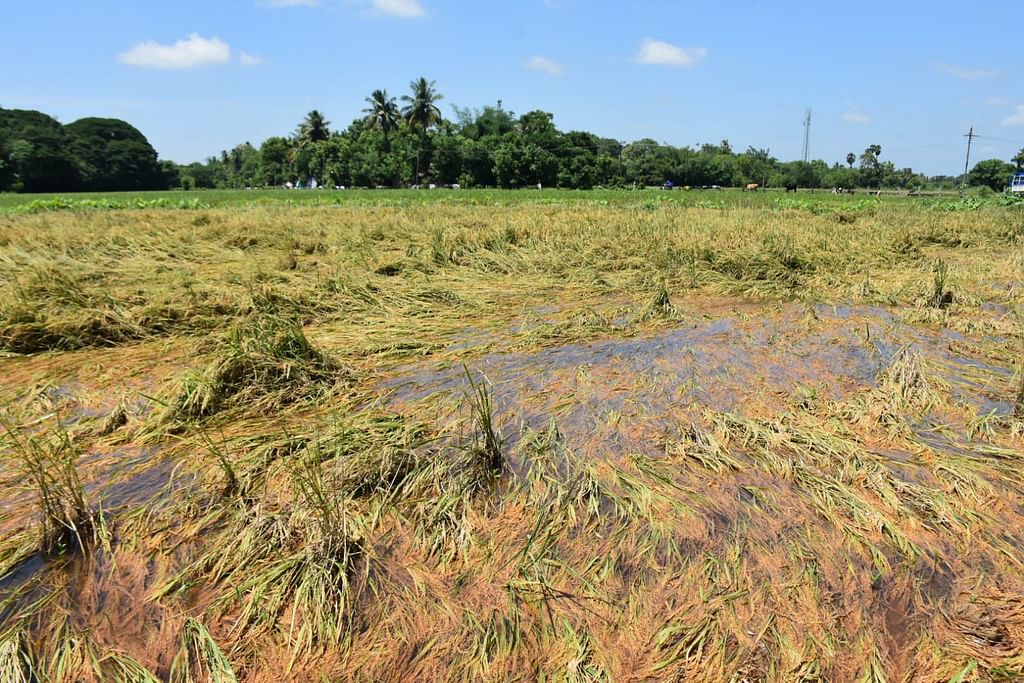 மழைச் சேதம்