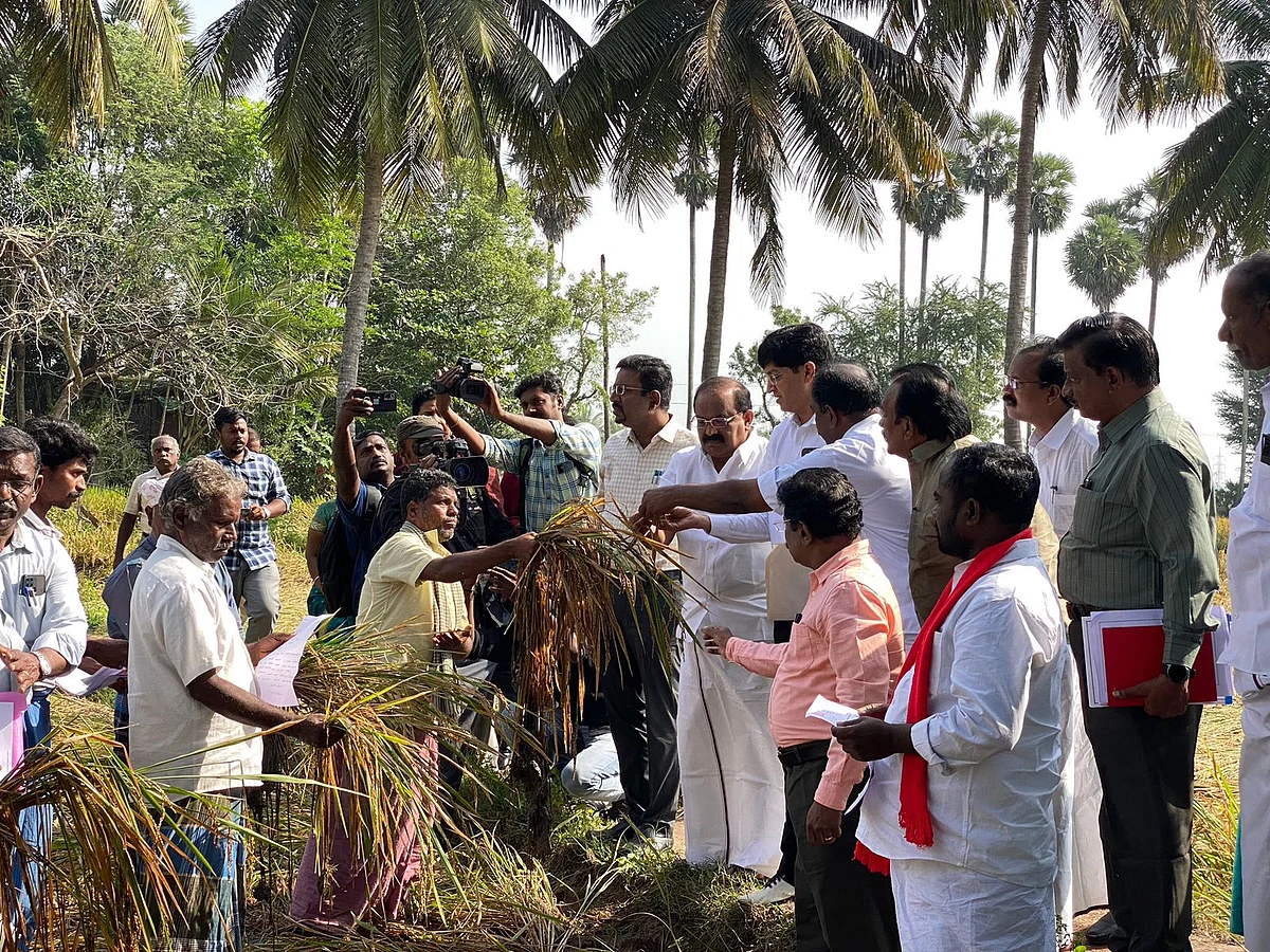 மழை பாதிப்புகளை பார்வையிட்ட அமைச்சர் சக்கரபாணி