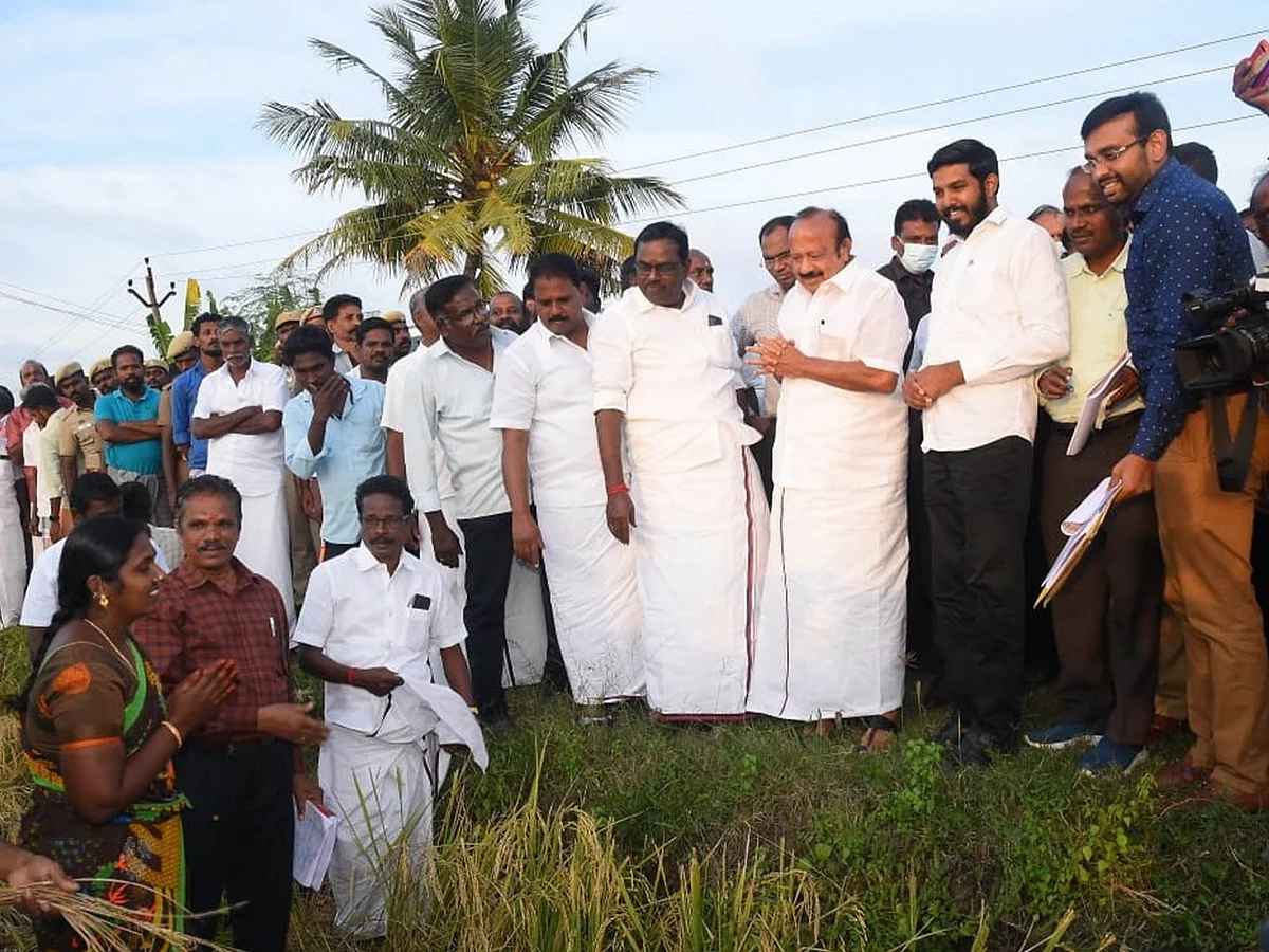 மழை பாதிப்பை பார்வையிட்ட அமைச்சர் எம்.ஆர்.கே.பன்னீர்செல்வம்