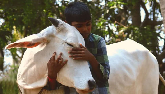 விலங்குகள் நல வாரியத்துக்கு
மனிதர்கள் மேல்தான் எவ்வளவு அக்கறை?!