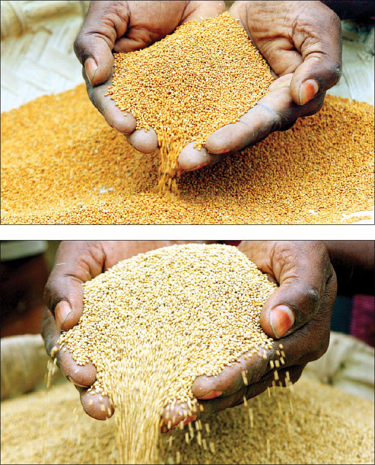 சிறுதானியம் சாப்பிட்டால் சூப்பர் வளர்ச்சி!