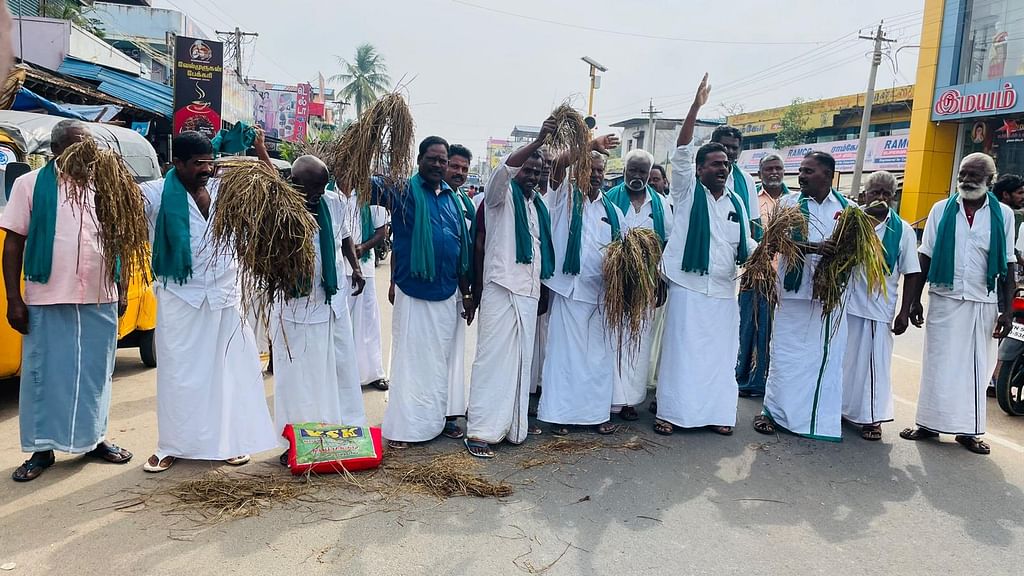 அழுகிய நெற்கதிர்களுடன் விவசாயிகள்