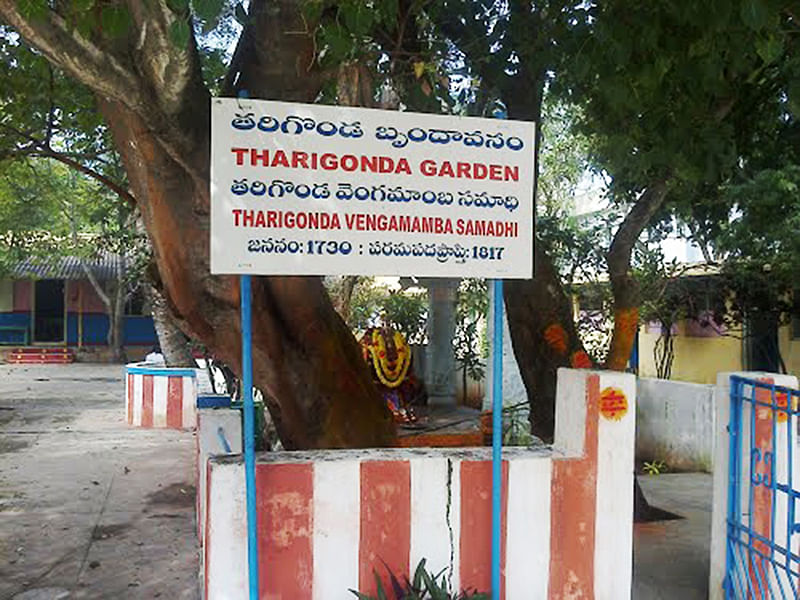 வெங்கமாம்பா வனம்