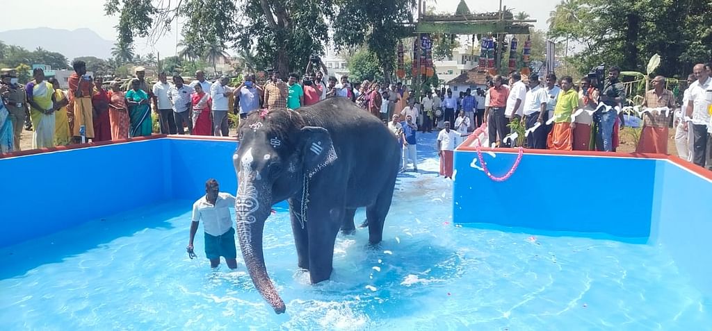 யானைக்கு குளியல் தொட்டி