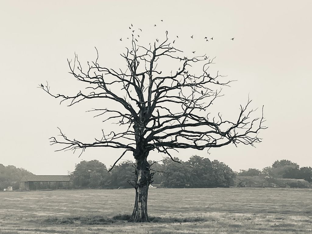 Representational Image