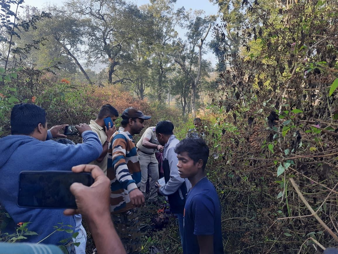 புலி தாக்கி பெண் உயிரிழப்பு