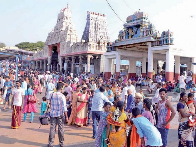 திருச்செந்தூர்: `பாதயாத்திரை செல்லும் பக்தர்கள் கவனத்திற்கு!' –ஆட்சியர் சொன்ன அறிவுரை