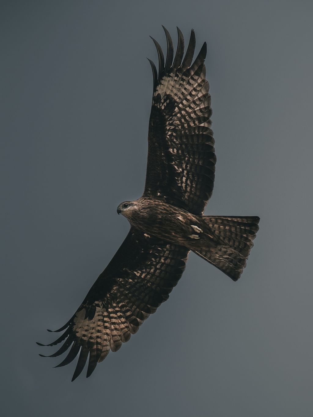 Representational Image