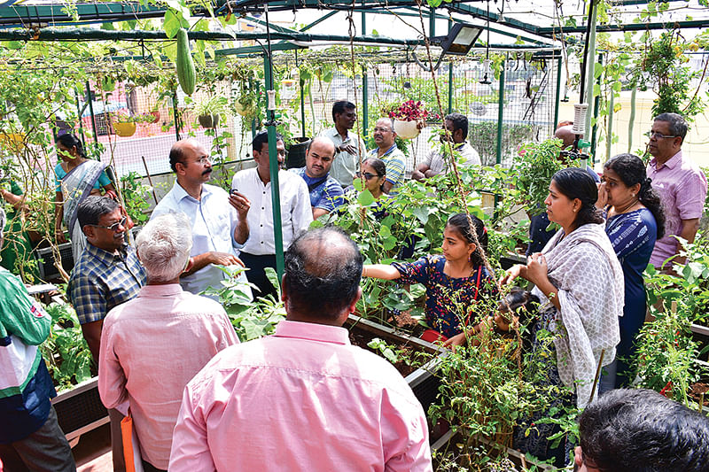 மாடித்தோட்டத்தில் நேரடி விளக்கம்
