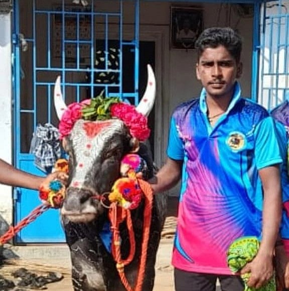 ஜல்லிக்கட்டு வீரர் கொலை: கல்லை கட்டி குவாரி குட்டையில் வீசிச் சென்ற கொலையாளிகள் - நடந்தது என்ன?