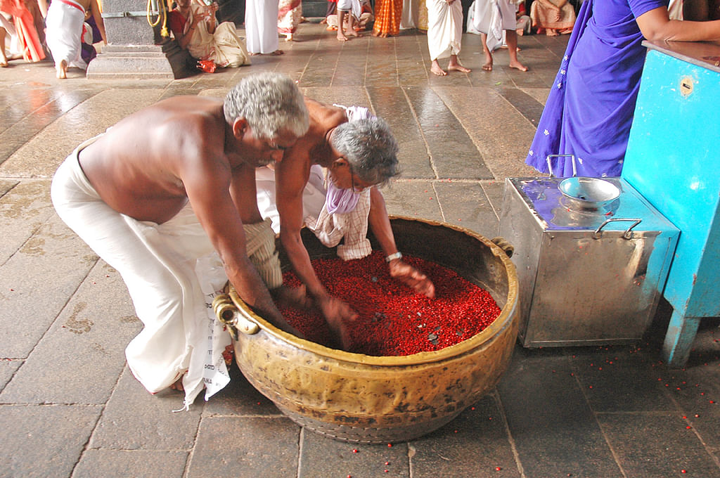குந்துமணி காணிக்கை
