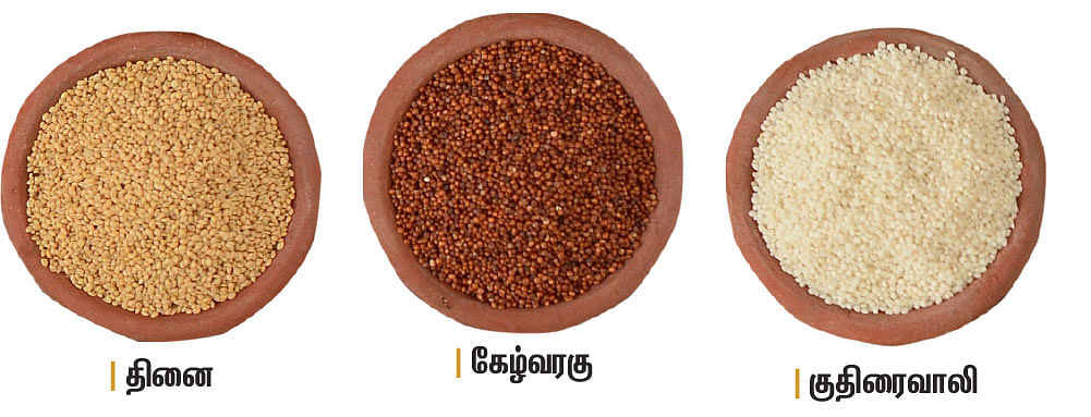 சிறுதானியம் சாப்பிட்டால் சூப்பர் வளர்ச்சி!