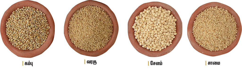 சிறுதானியம் சாப்பிட்டால் சூப்பர் வளர்ச்சி!