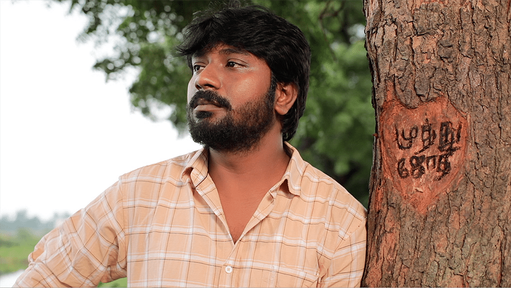 சிறகடிக்க ஆசை