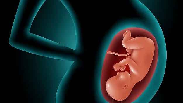 கருக்கலைப்புச் சட்டம்