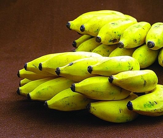 ஆரோக்கியம் ஒரு பிளேட் - 47