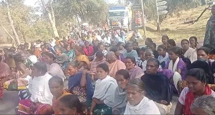 நீலகிரி: விறகு சேகரிக்கச் சென்ற பழங்குடிப் பெண், புலி தாக்கி பலி! - சாலையில் மறியலில் இறங்கிய மக்கள்