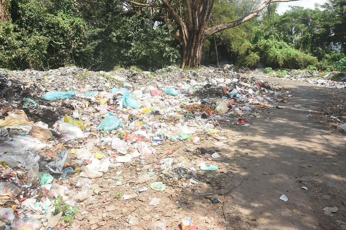 மயிலாடுதுறை: `சுகாதார சீர்கேடு, நோய்த் தொற்று பரவல் அபாயம்' - பொதுமக்கள் புகாரும், ஆணையர் விளக்கமும்