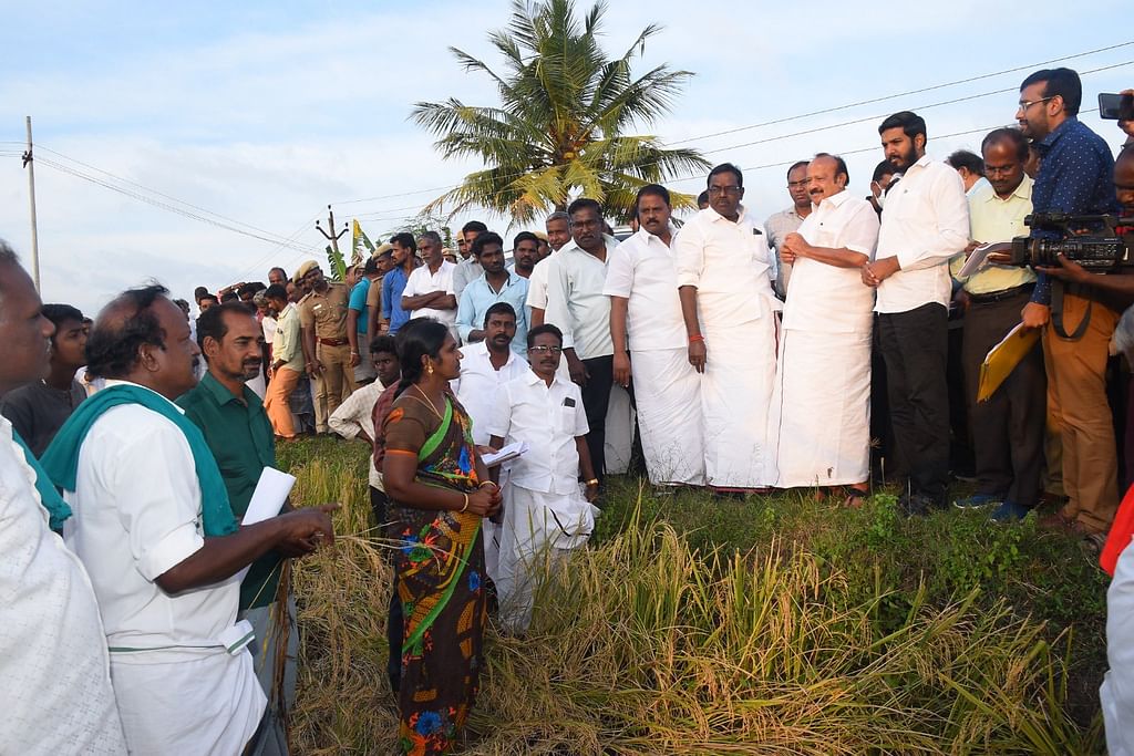 ஆய்வில் உழவர் நலத்துறை அமைச்சர் எம்.ஆர்.கே.பன்னீர்செல்வம்