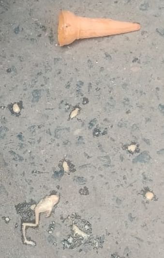 ஐஸ் க்ரீமில் கிடந்த தவளை