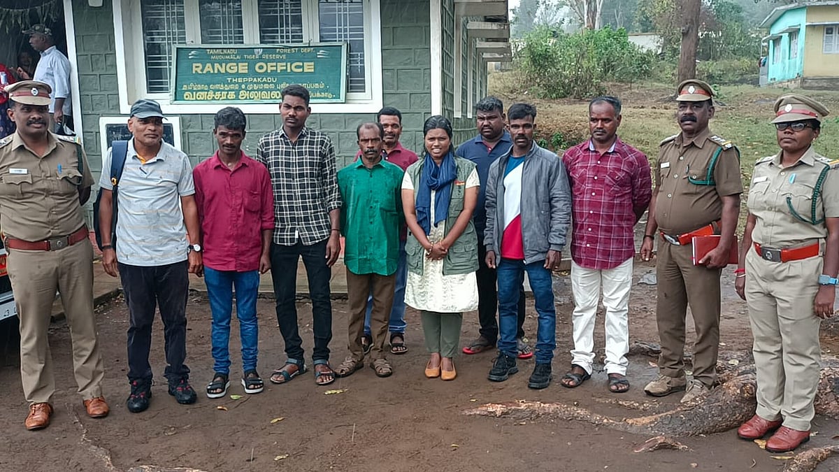 சிறப்பு பயிற்சி; தாய்லாந்துக்குப்  பறக்கும் தமிழக பாகன்கள்!