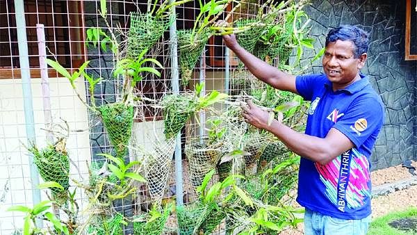 நடிகை வீட்டில் வேலை செய்துவரும் ஆல்பர்ட் டிக்கா