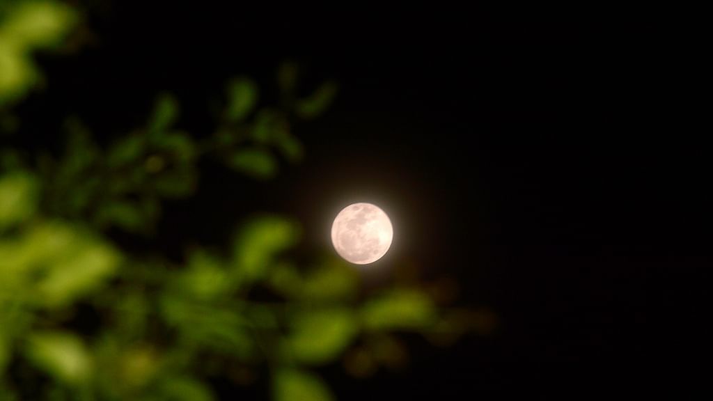 Moon