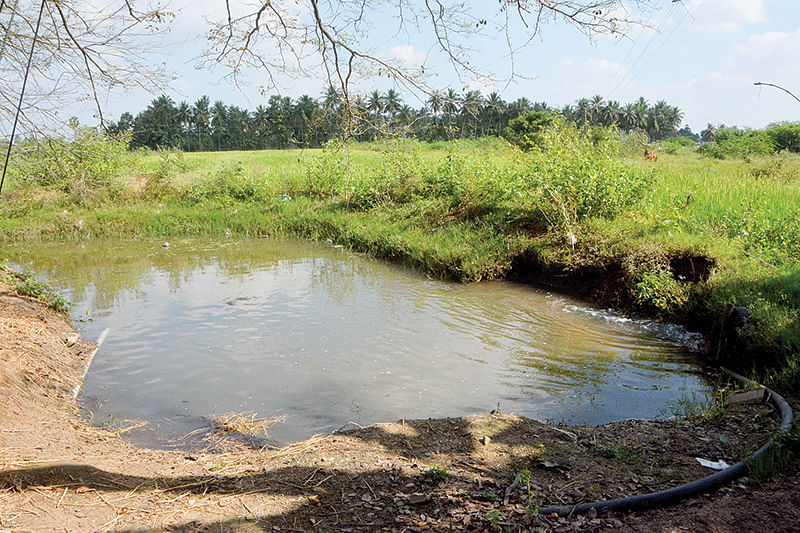 மீன் குளம்