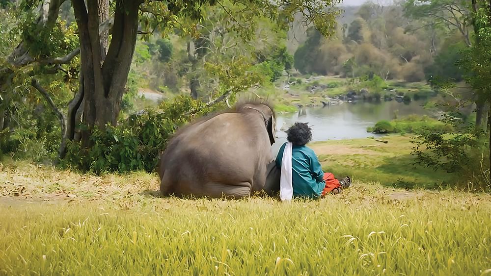 தி எலிபெண்ட் விஸ்பரர்ஸ்