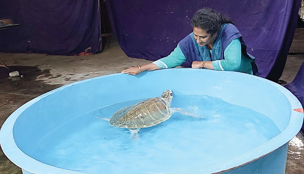சுப்ரஜா தாரணி