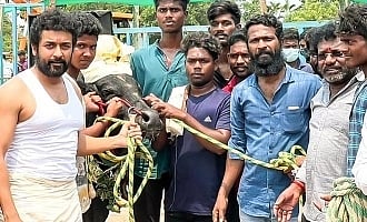 `வாடிவாசல்’... பயிற்சிக்காக 2 காளைகளை வளர்க்கிறார் சூர்யா! - இயக்குநர் வெற்றிமாறன்! 