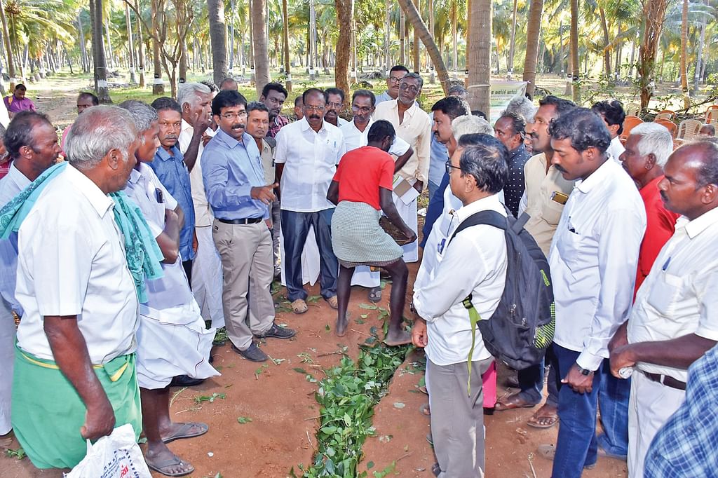 உரமிடுவதற்கான குழி தயாரிப்பு