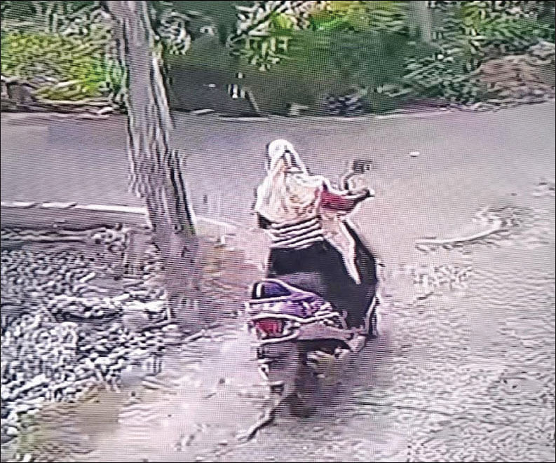 “கைநிறைய சம்பாதிக்கிறேன்... நான் ஏன் திருட வேண்டும்?''