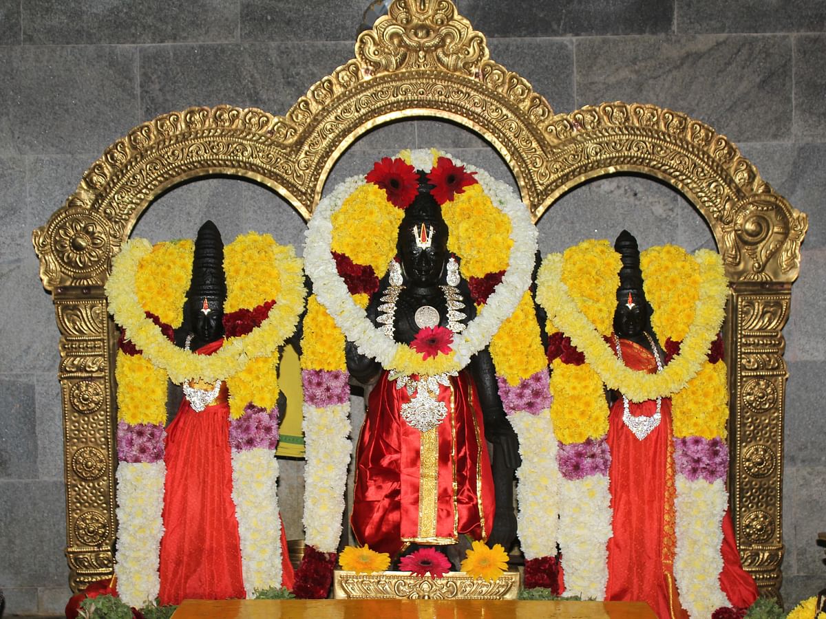 `நலங்கள் அருளும் நவகோடி நாராயணப் பெருமாள்' - ராமாநுஜர் அருள்பெற்ற அதிசயத் தலம்!